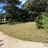 First Chantz Tree Service gallery