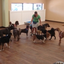 The Green K9 - Pet Services