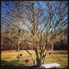 Oak Grove Memorial Garden gallery