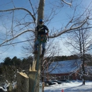 Bryan McFadden LLC Tree Surgeon - Arborists
