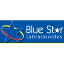 Blue Star Labradoodles - Pet Breeders