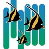 Mann Orthodontics gallery