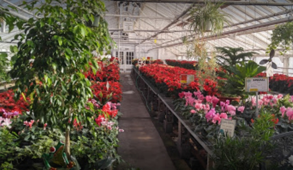 Bell Nurseries Inc - North Haven, CT