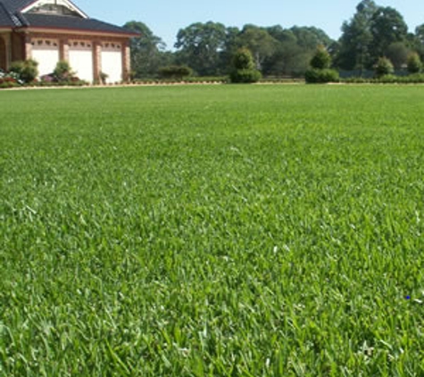 U-Bute Turf Farm - Kelso, QLD