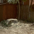 E & S Tree Service - Tree Service