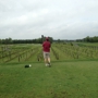 Vineyard Golf At Renault