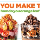 Orange Leaf Frozen Yogurt - Yogurt