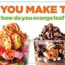 Orange Leaf Lufkin - Yogurt