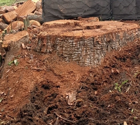 Coastal Stump Worx - Umina Beach, NSW