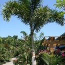Sunscape, Inc. - Landscape Contractors