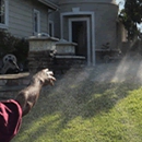 Sprinkler Repair Guy - Sprinklers-Garden & Lawn, Installation & Service