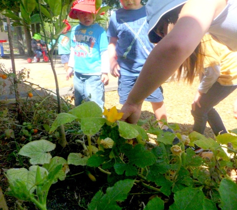 Minikins Kindergarten & Child Care Centre - Doncaster East, VIC