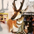 Hunter's Taxidermy - Taxidermists