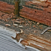 Gallery Image Number 2