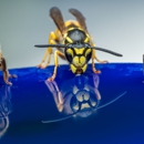 Charlie Pettis Pest Services - Pest Control Equipment & Supplies
