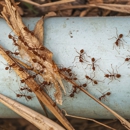 F&W Pest Control - Pest Control Equipment & Supplies