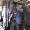Final Answer Consulting - Livestock Breeders