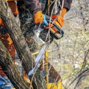 Martinez Tree Services - Tree Service