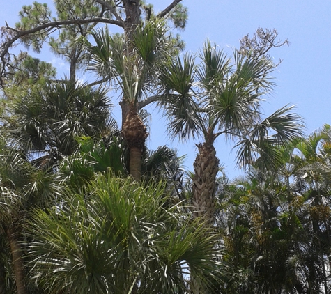 A-1 Tree Specialists - Lantana, FL