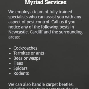 Impact Pest Control. Pest Control in Newcastle