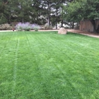 Tailored Lawn Care