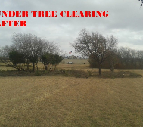 clearing&trimming services - Arlington, TX