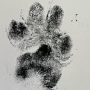 Comfort of Home Veterinary Services - Veterinarians
