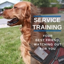 Dog Training Elite New Braunfels - Dog Training