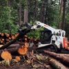 Twain Harte Tree Service gallery