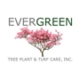 Evergreen Tree Plant & Turf Care, Inc