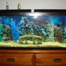 That Aquarium Place - Aquariums & Aquarium Supplies