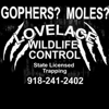 Lovelace Wildlife Control gallery