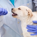 Elma Pet Clinic - Veterinary Clinics & Hospitals