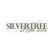 Silvertree at Little Turtle gallery