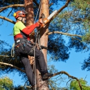 ADM Tree Services - Firewood