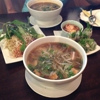 Bo De Tinh Tam Chay gallery