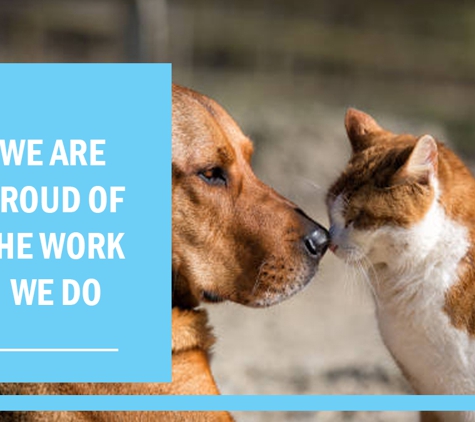 South Paw Dog Grooming - Pialba, QLD. We are proud of the work we do.