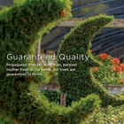 Moon Valley Nurseries
