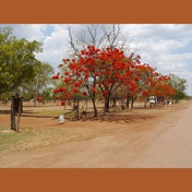 Gallery Image Number 5