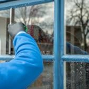 Dazzling Window Cleaning