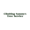 Climbing Sammy's Tree Service gallery