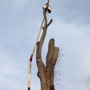 J.R. Ellington Tree Service