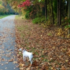 Baltimore-Annapolis Trail Park