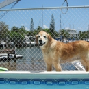 Marathon Veterinary Hospital - Veterinarian Emergency Services