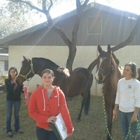 South Texas Veterinary Clinic