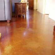 Gallery Image Number 2