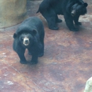 Three Bears Gift Shop - Gift Shops
