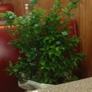 Merchantville Diner - American Restaurants