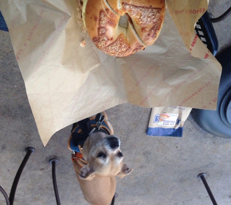 Noah's New York Bagels - Los Angeles, CA