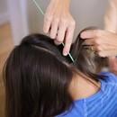 Lice Clinics of America-Westchester - Clinics